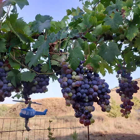 Appartement Casa Degli Oleandri