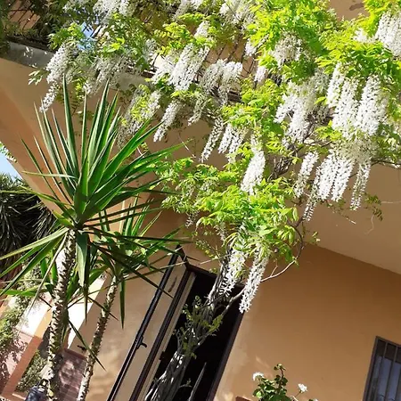 Apartment Casa Degli Oleandri