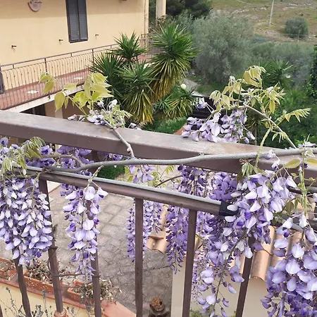Casa Degli Oleandri Appartement Carlentini